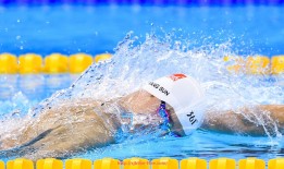 世俱杯直播-2015年意甲降级球队名单及赛季表现总结