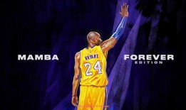 世俱杯直播-德甲各个球队最新赞助商名单2025汇总